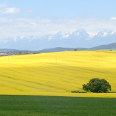 Pohľad z Raja