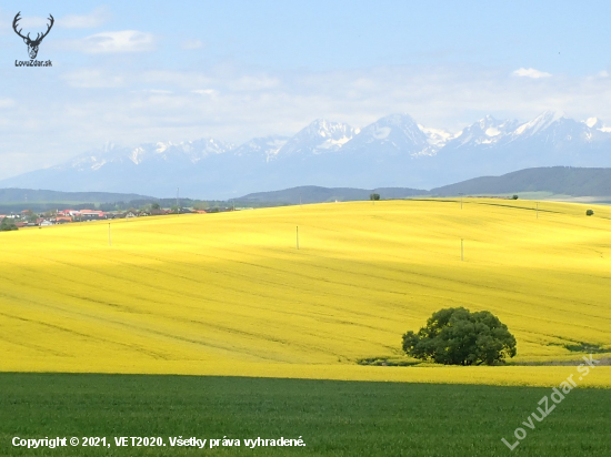 Pohľad z Raja