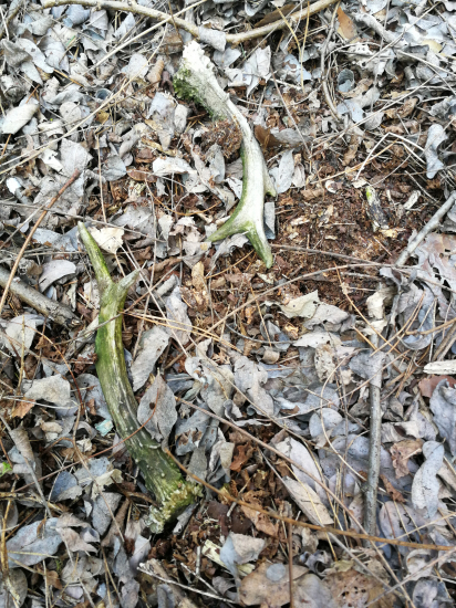 Pár, škoda, že nie skôr...