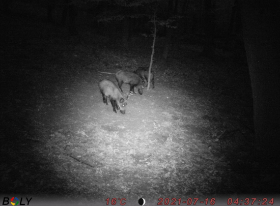 Prišli si pochutiť