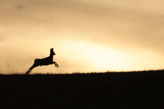 Západy sú krásne...