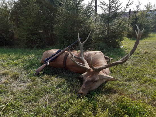 Bratov dvanástorák