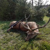 Bratov dvanástorák