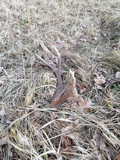 Prvá vychádzka 2021