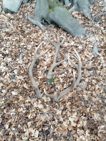 Vychádzka c4 4.5.6 zhod tohorocne