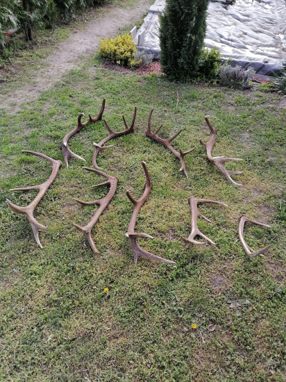 Sezona 2021 iny pohlad