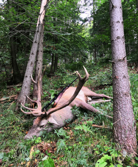 Štvorka - ruja 2021