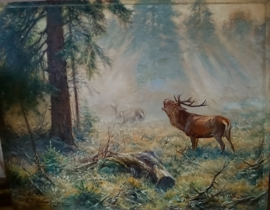 Jelenia ruja - Gerhard Lobenberg