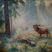 Jelenia ruja - Gerhard Lobenberg