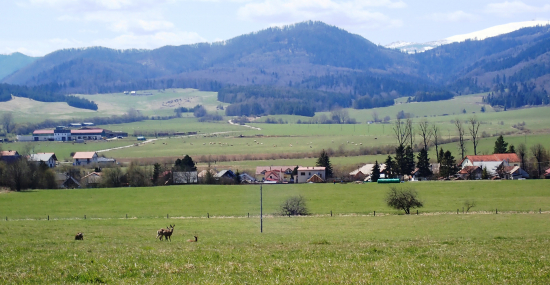 pri dedine
