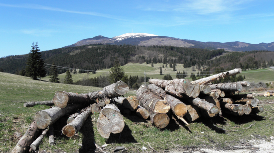 z Besníka Kráľová hoľa 2