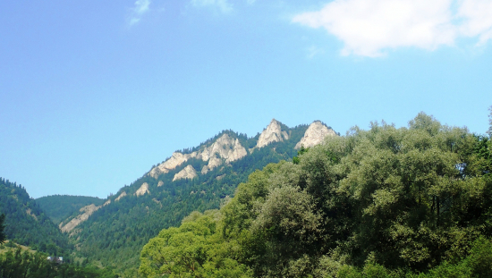 Tri koruny