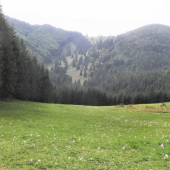 biotop Jesienky v Raji