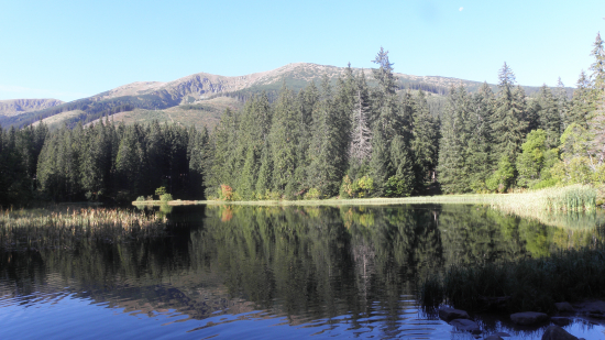 Vrbické pleso