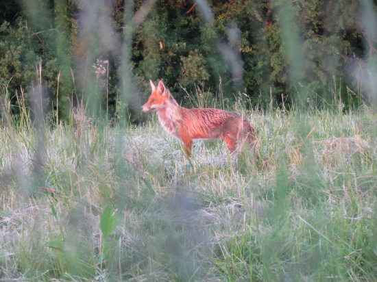 ...stretnutie na 5 metrov