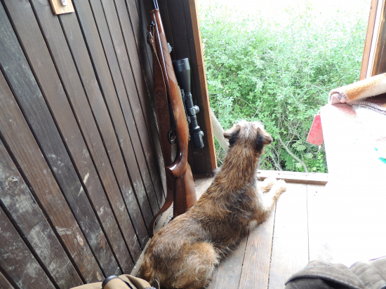 Každý kontroluje svoju stranu