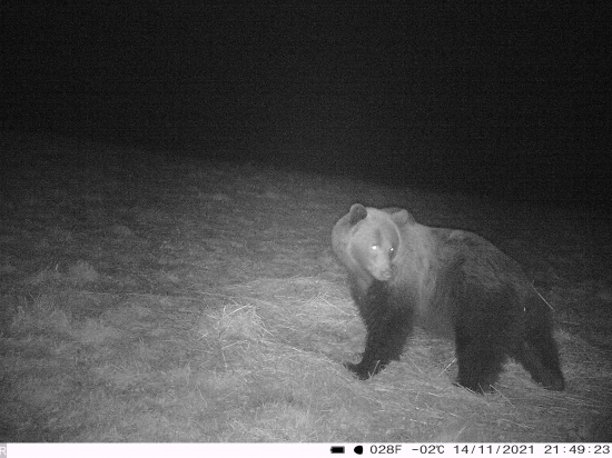 Bol pozrieť na krmenie