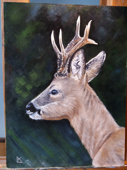 Srnec - 30x40 akryl+olej