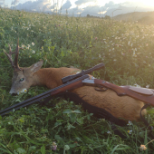 Výsledok srnčej ruje na Liptove.