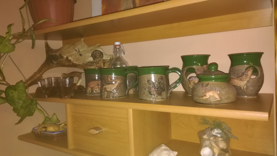 ...malé poľ. zátišie v byte