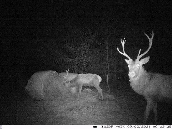 Odfotili ma a nemám rúško.....