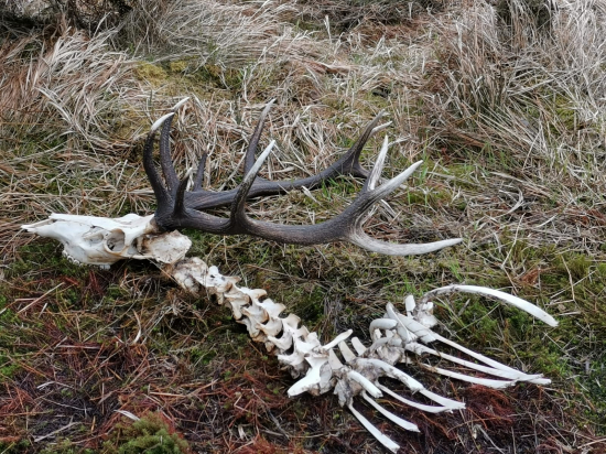 Kamarádův nález po zimě