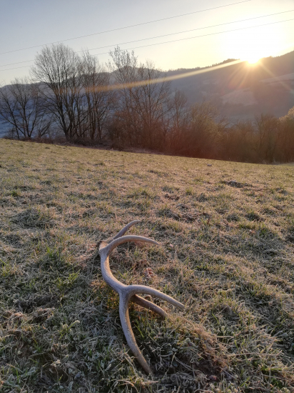 S vychádzajúcim slnkom..