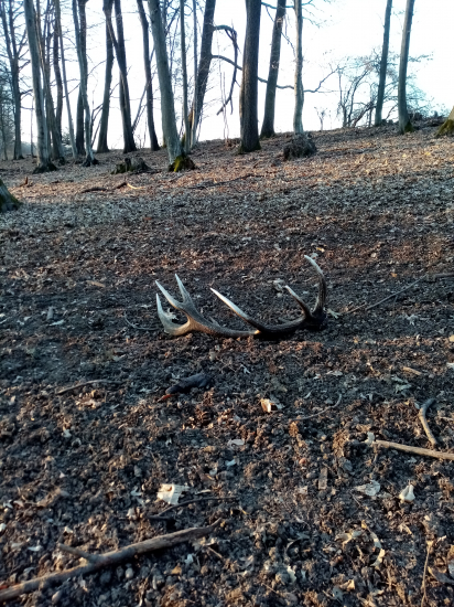 To je ten spod osiky