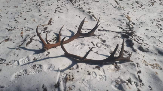 Každý z inej hlavy.