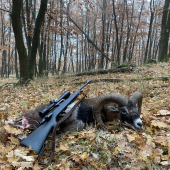 Baran z chladného rána...