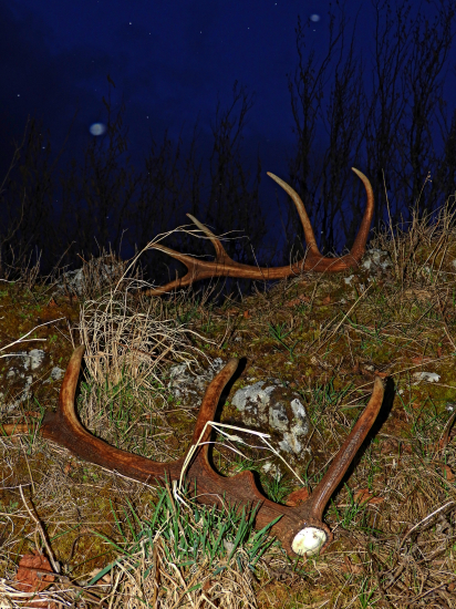 Dnešný nečakaný pár