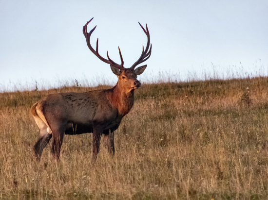 V prvých lúčoch...