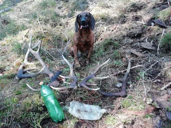 Axia Čisté hory...