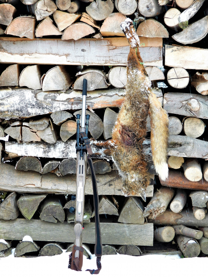 Príbeh o love Líšky