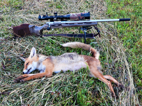 Keď noc ešte kradla ľudom spanok.....