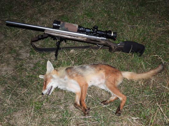 Trpezlivosť vs Ćas