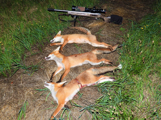 Padli 4 výstreli.....