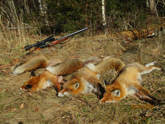 Včerejší noc byla úspěšná