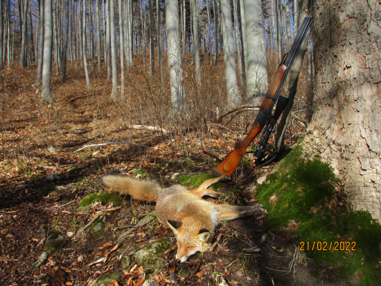 Včerejší jubilejní