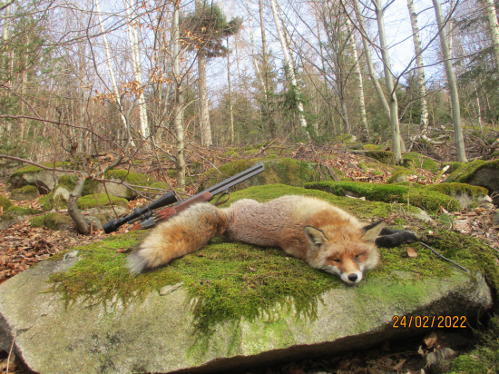 Včerejší číslo 53 a pomalu ukončíme sezonu