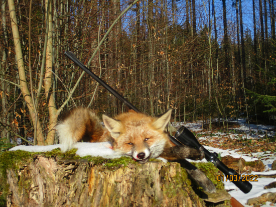 Asi poslední v tomto mysl. roce má pořadové č. 59 a váží pouhé 3,3 kg