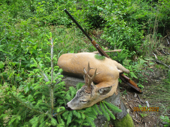 Z rodu nejstarších