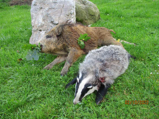 Sezóna se rozjíždí