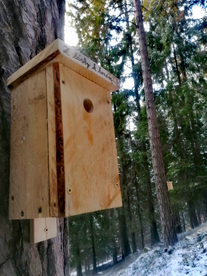 Nové byty pre vtáčky