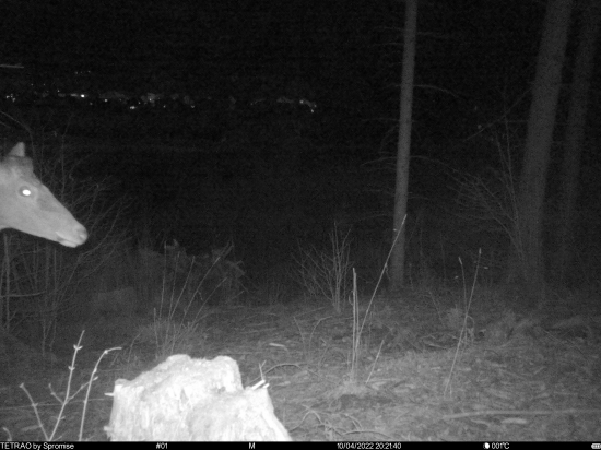 Iba trošku sa ti ukážem