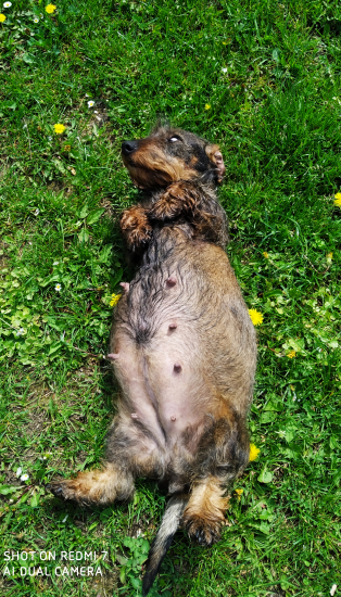 V očakávaní.. 57.deň