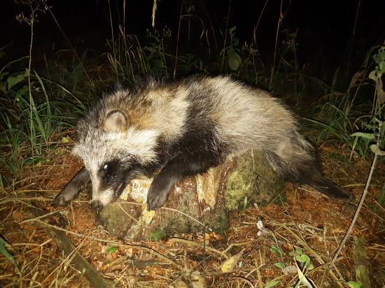 Tak už je tu máme taky
