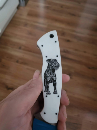 Scrimshaw Jagteriera na mojom noži