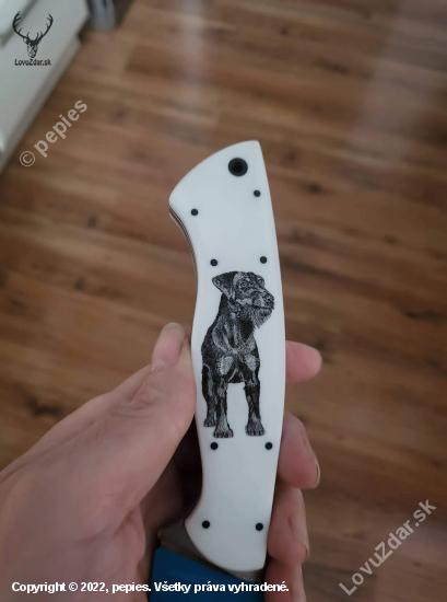 Scrimshaw Jagteriera na mojom noži