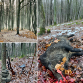 Silvestrovske prasiatko